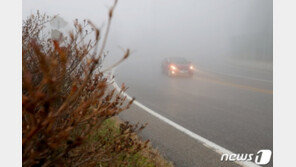 [날씨] 최고 19도 봄같은 연휴…귀경길 짙은안개 주의