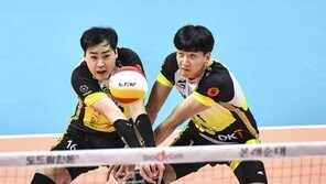 男배구 송명근-심경섭,학교폭력 인정…“과오 인정” 사과