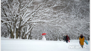 국립공원 일부 탐방로 15일부터 통제…산불 예방 나선다