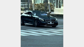 벤츠 보닛 위에 고양이 올려 놓고 주행한 차주 “운동 시키려고”