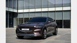 자동차 판매 늘었는데…크고 비싼 차만 더 팔렸다