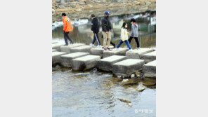 봄기운 가득한 담양 관방천