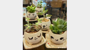 초록을 품으면[고양이 눈]