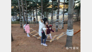 해먹그네… 생태체험 “숲속 놀이터 생겼어요”