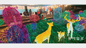 화려한 불빛정원서 사슴가족과 함께