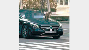 벤츠 보닛 위에 고양이 매단채 달린 운전자