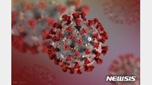 WHO 조사팀, 2019년 말 中 우한서 코로나 변이 13종 확인