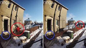 “피곤해서 못 돕겠다” 넘어진 70대 노인 외면한 집배원