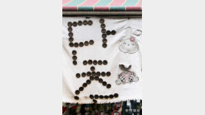 단추로 만든 간판[고양이 눈]