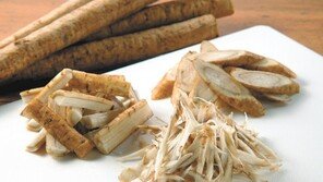 콜레스테롤 낮추는 우엉… 몸에 열 많은 사람에게 좋아요!