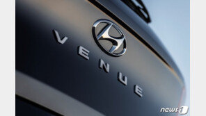 대형 SUV 강세 속 조용한 인기몰이…베뉴, 성장세 이어갈까