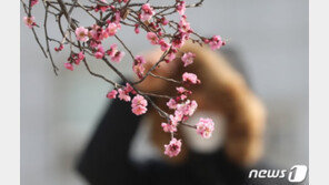 17일 -10도 아래로 뚝, 모레까지 강추위…주말은 포근