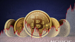 비트코인, 4만9951$로 최고가 경신…기관투자자 가세에 5만$ 육박