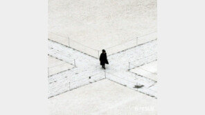 가지 않은 길[고양이 눈]