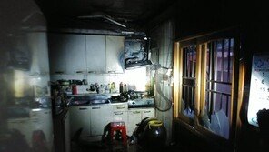 “폰요금 많이 나왔다” 아버지 꾸중에 집에 불지른 20대