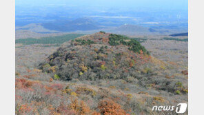 제주서 가장 ‘젊은화산’은 돌오름…“2000년 전에 분출”