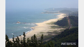 軍 “경계작전·시설물 등 해안감시 분명한 과오 식별”