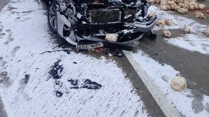 구례서 빙판길 16중 추돌사고…도로에 닭 500여마리 쏟아져