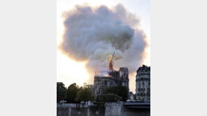 佛, 노트르담성당 첨탑 복구 위해 수백년 된 ‘참나무 수배’