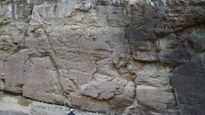 울산 반구대 암각화, 세계유산 우선 등재