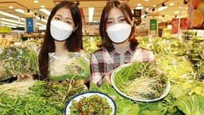 “입맛 찾아주는 봄나물입니다”