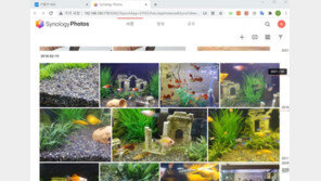 [리뷰] DSM 7.0으로 강화된 NAS용 사진 백업 솔루션, ‘시놀로지 포토’