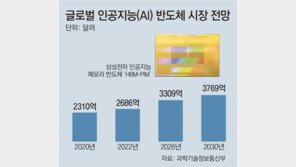 삼성 반도체 새 역사… 연산 가능한 ‘AI 메모리’ 세계 첫 개발