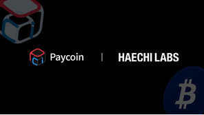 2000% 폭등한 다날 ‘페이코인’…왜?