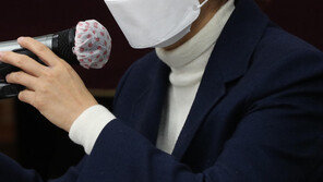 與부대변인, 野 서울시장 후보에 “1년짜리 뽑는데 생지X  공약”