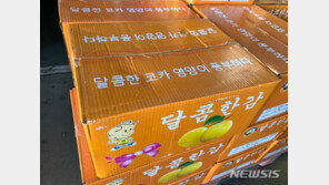 대놓고 ‘한국배’ 적힌 중국산 과일, 동남아서 버젓이 팔려