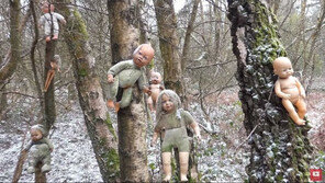 英 숲속 나무에 매달린 섬뜩한 아기 인형들…정체는?