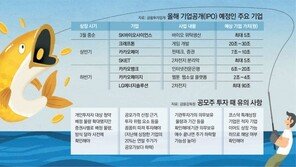 공모주 大魚 열풍… 수급따라 주가 출렁일수도