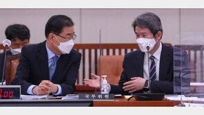 외통위 참석한 정의용-이인영