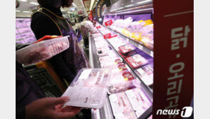 닭고기·계란값 뛰면서 1월 생산자물가 들썩…7년 9개월만에 최고치