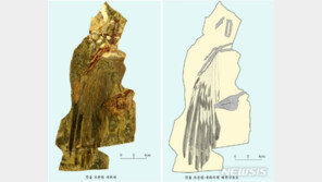 북한 “신의주서 1억3000만년 전 중생대 조류 화석 발굴”