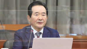 丁총리 “위안부 진실 왜곡, 단호 대처…명예 손상 없도록 최선”