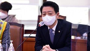 외통위 소위, ILO 협약 비준안 모두 의결…與 2건 단독 처리