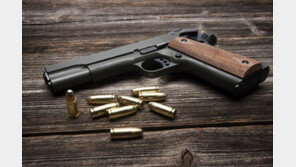 美 어린이, 엄마 핸드백 속 권총 만지다 실수로 격발…母 숨져