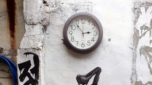 다짐[고양이 눈]