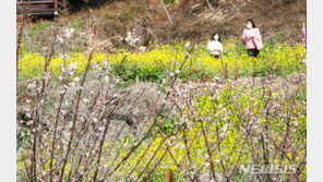 [날씨]일요일 낮 최고 23도 포근…수도권 초미세먼지 나쁨