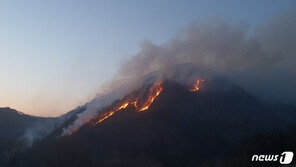 정선 여량면 산불 이틀째 산림 12㏊ 잿더미…진화율 70%
