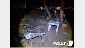 한밤 고기 구워 먹다 산불 낸 60대…산림청 “강력 처벌”