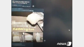 경찰, 지난해 마약사범 1만2209명 검거…20대 가장 많아