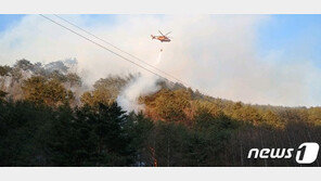 정선 여량면 산불 진화율 90%…주불은 아직 안잡혀