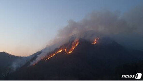 정선 산불 18시간만에 진화…월드컵 경기장 12개 넓이 잿더미