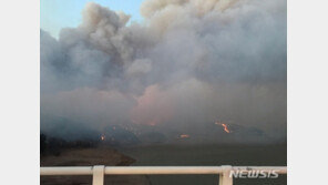 경북 안동 산불 강풍 타고 확산…소방 동원령 1호 발령
