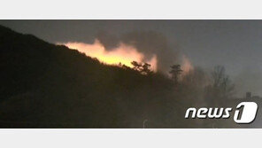 논산 벌곡면 야산 불…인력 300명·헬기 6대 동원 진화 중