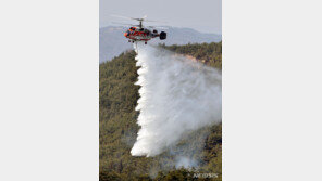 안동·예천 산불 21시간만에 완진…축구장 357개 면적 소실