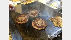 “학교 급식서 고기 제외”…佛 리옹 시장의 ‘채식화’ 선언 논란