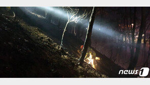 대구 팔공산 자락 산불 큰 불길 잡아…임야 0.16㏊ 잿더미로